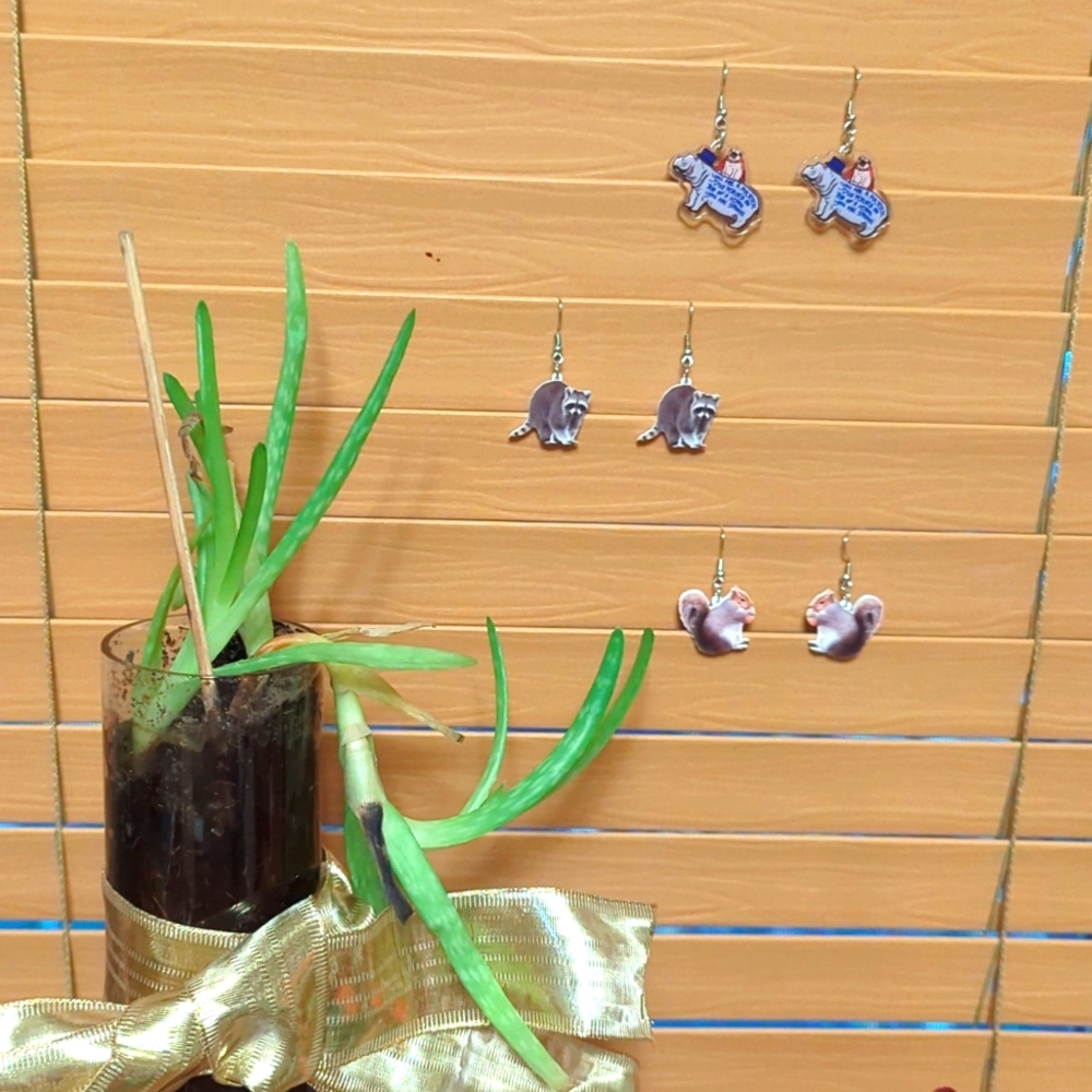NWT/IP 🤩 (unbranded) 🐕🦛🦝🐿️⭐ AWESOME ANIMAL⭐🐿️🦝🦛🐕acrylic dangle earrings